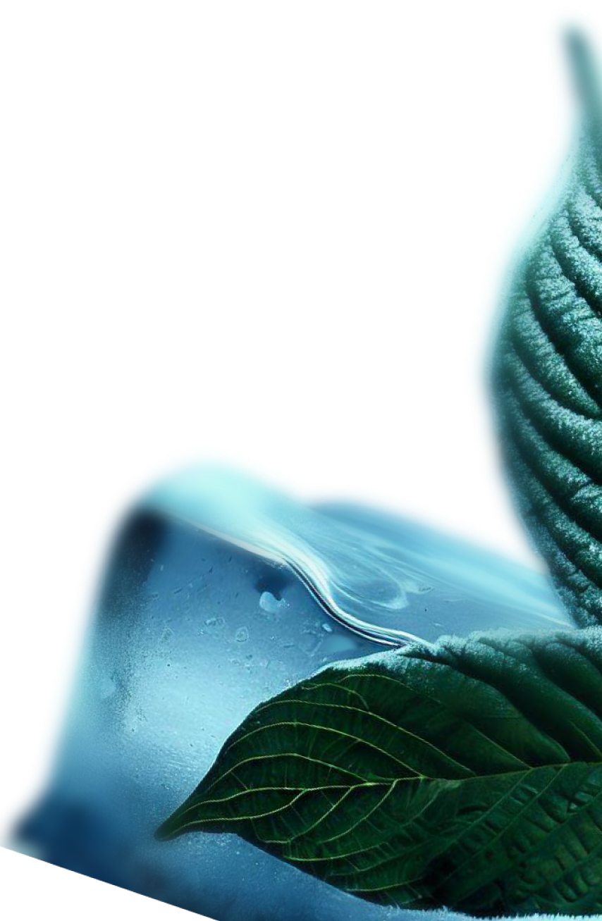 CRYO Kratom Buy Kratom Online