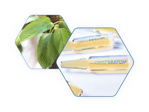 CRYO Kratom has created the best kratom drink that is better than a kratom pill. CRYO Kratom has created the best kratom drink that is better than a kratom pill.